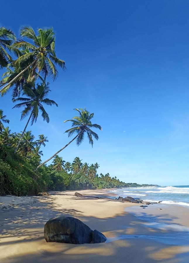 Beach House Kalukatiya - Family Villa, Seaview Room, Garden Room Dikwella Esterno foto