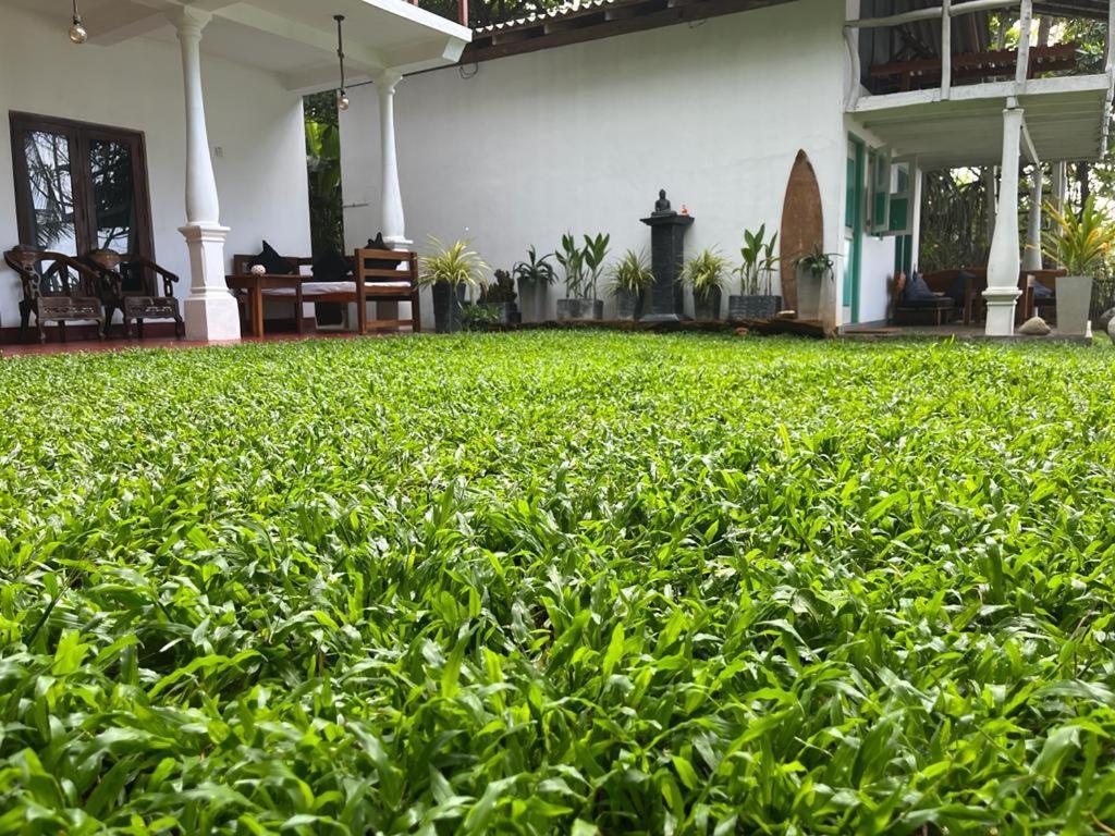 Beach House Kalukatiya - Family Villa, Seaview Room, Garden Room Dikwella Esterno foto