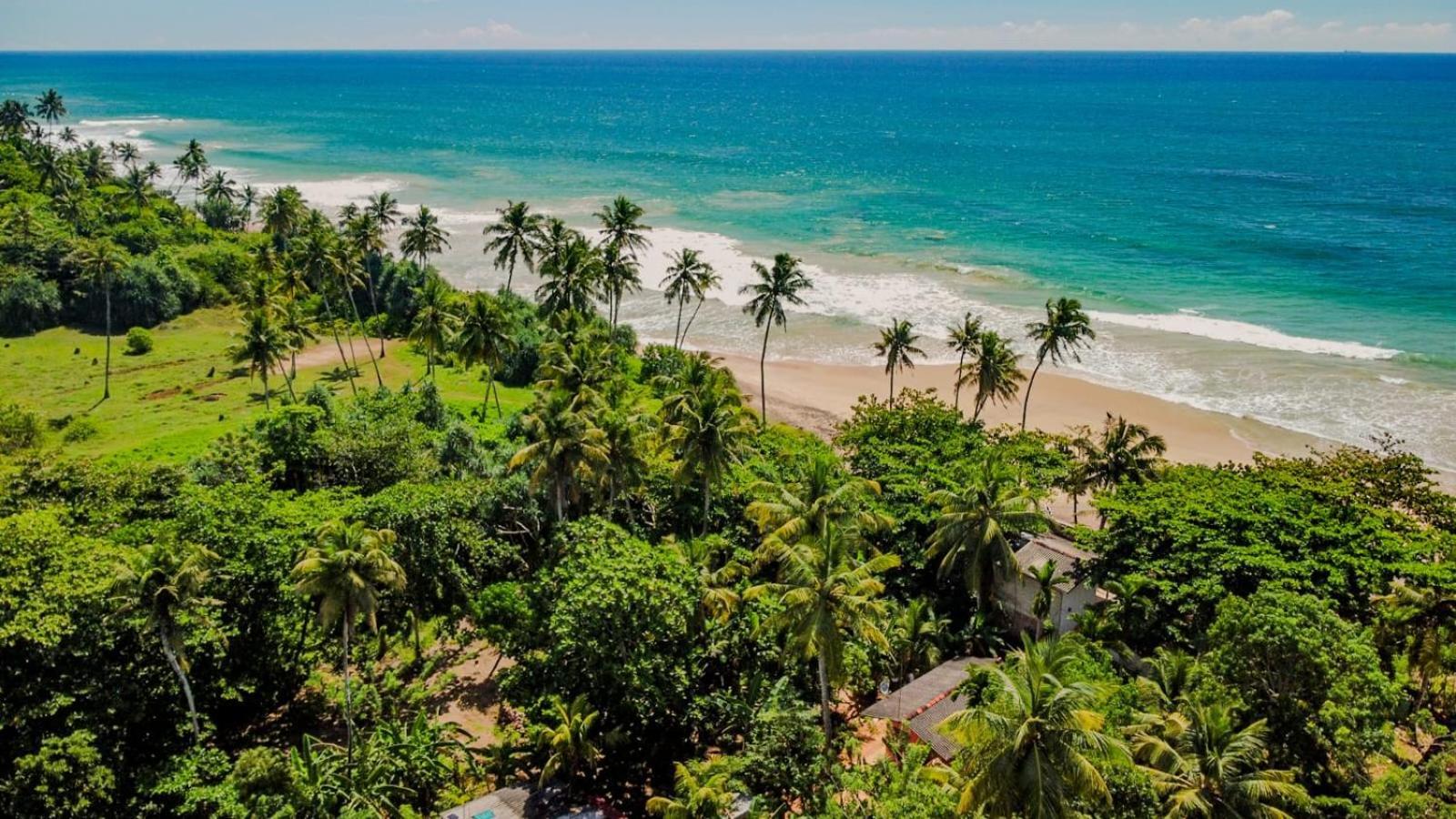 Beach House Kalukatiya - Family Villa, Seaview Room, Garden Room Dikwella Esterno foto